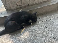 -四门塔风景区