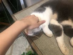 -花十悦·鲜花咖啡餐厅(振业城一期店)