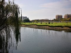 -南汇新城城市公园