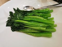 -食神鱼头佛跳墙(百子湾旗舰店)