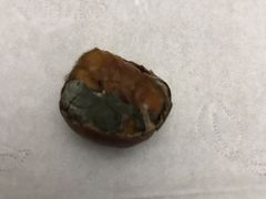 -阿男野栗王(金门路店)