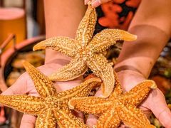 -霸王虾·麻辣小龙虾(清水河公园店)