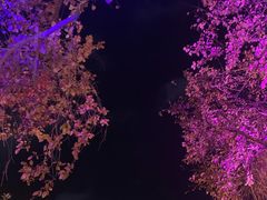 -上合花园花园烧烤(贵阳店)