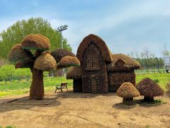 -长白岛森林公园