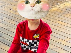 -世纪飞马幼儿园(西城校区)