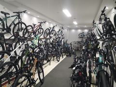 -道路口单车爱瓦士dahon大行