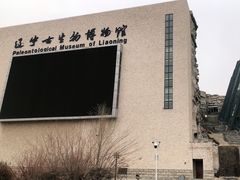 -辽宁古生物博物馆