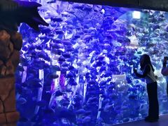 -哈尔滨波塞冬海底世界