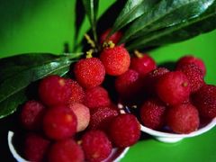 -西山樟坞健康果园枇杷杨梅采摘