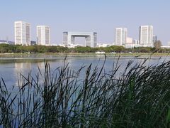 -渤公岛生态公园