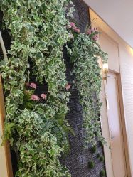 -芳朵美容养生SPA