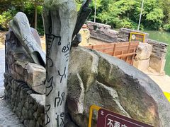 -将军关探险漂流