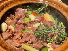 迷迭香啫牛舌-煲煲好(朝阳门店)
