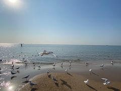 -老虎石海上公园