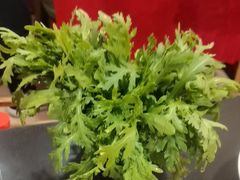 -芦月轩羊蝎子(北蜂窝店)