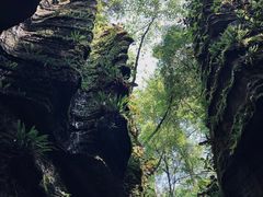 -梭布垭石林景区