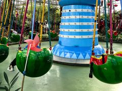 -南宫五洲植物乐园