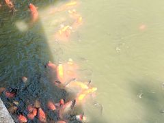 -星海公园(番禺区)