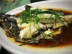 清蒸石斑鱼-鑫悦楼煎蟹·16年海鲜大排档