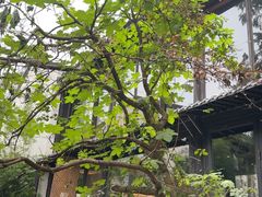 -Metal hands·铁手咖啡