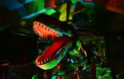 -恐龙探索乐园(磁器口店)