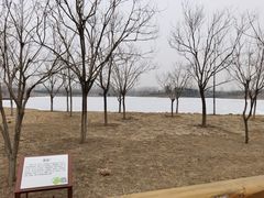 -东郊湿地公园