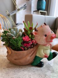 -新蝶变皮肤管理中心