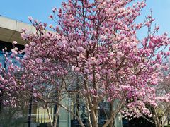 -廊坊固安福朋喜来登酒店