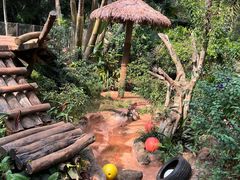 -海南热带野生动植物园