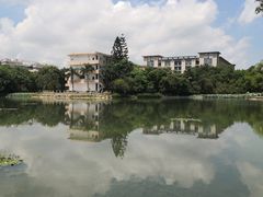-广西大学(大学东路校区)