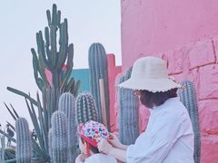 -漳州滨海火山岛自然生态风景区