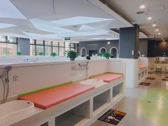 -沥鲨亲子游泳俱乐部(金沙洲中心)