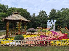 -上海共青森林公园