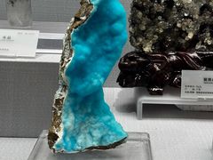 -湖南省地质博物馆