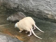 -海南热带野生动植物园