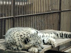 -青藏高原野生动物园