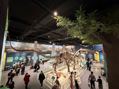 -国家自然博物馆