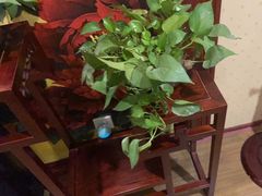 -益康盲人推拿按摩(长虹店)