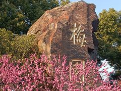 -无锡梅园公园