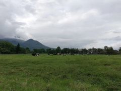 -瑞穗牧场