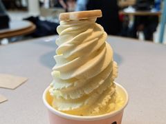 -dodonpa.墩墩伐 便当食堂(博华广场店)