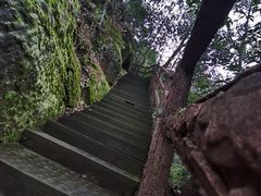 -缙云山景区
