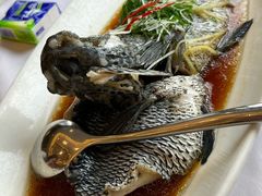 -骏莱海鲜鱼港(五角场店)