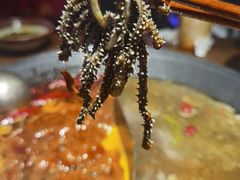 -萍姐火锅·公路夜市(打浦桥日月光店)