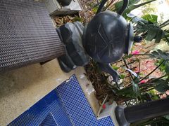 -江门恒大泉都