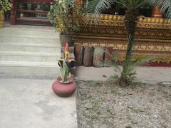 -西双版纳傣族园