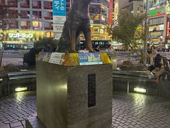 -涩谷全向十字路口