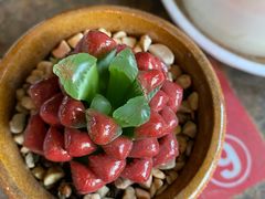 -火塘云南烧烤大排档