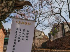 -楠溪江风景名胜区