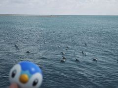 -青海湖二郎剑景区